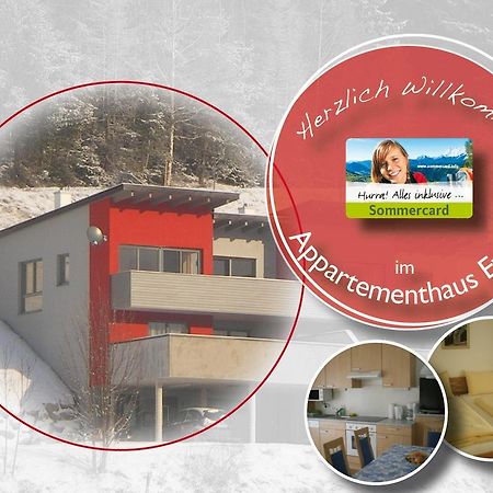 Appartementhaus Evelyn Schladming Bagian luar foto