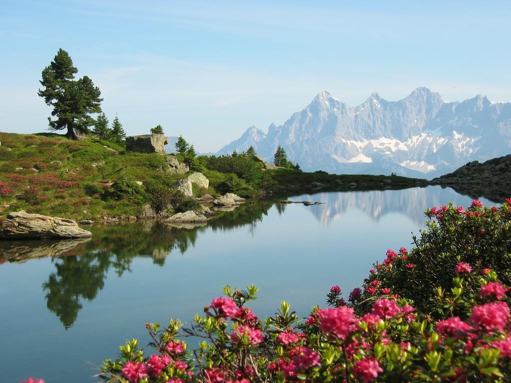 Appartementhaus Evelyn Schladming Bagian luar foto