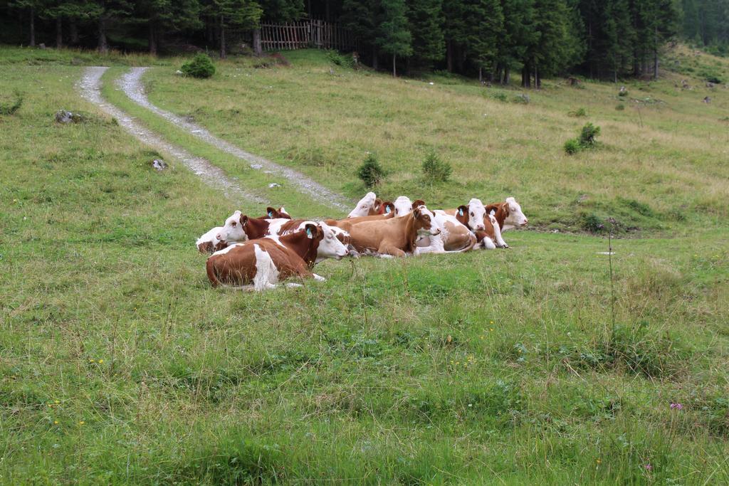 Appartementhaus Evelyn Schladming Bagian luar foto